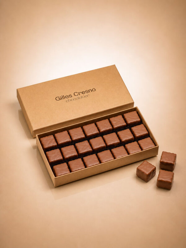 Coffret Rochers praliné NOISETTES lait